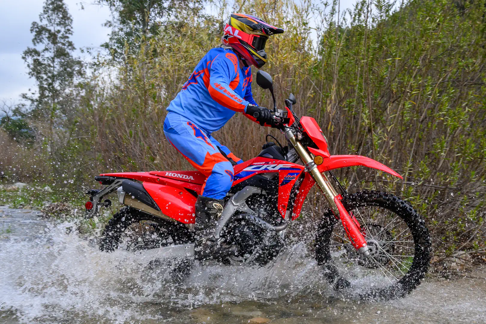 Pirelli Scorpion XC Mid Hard Tire Review: Dirt-First, Street